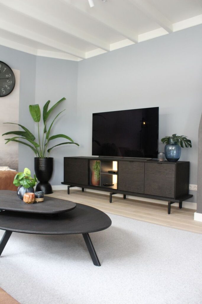 Elegant contemporary living room featuring sleek black furniture and indoor plants.